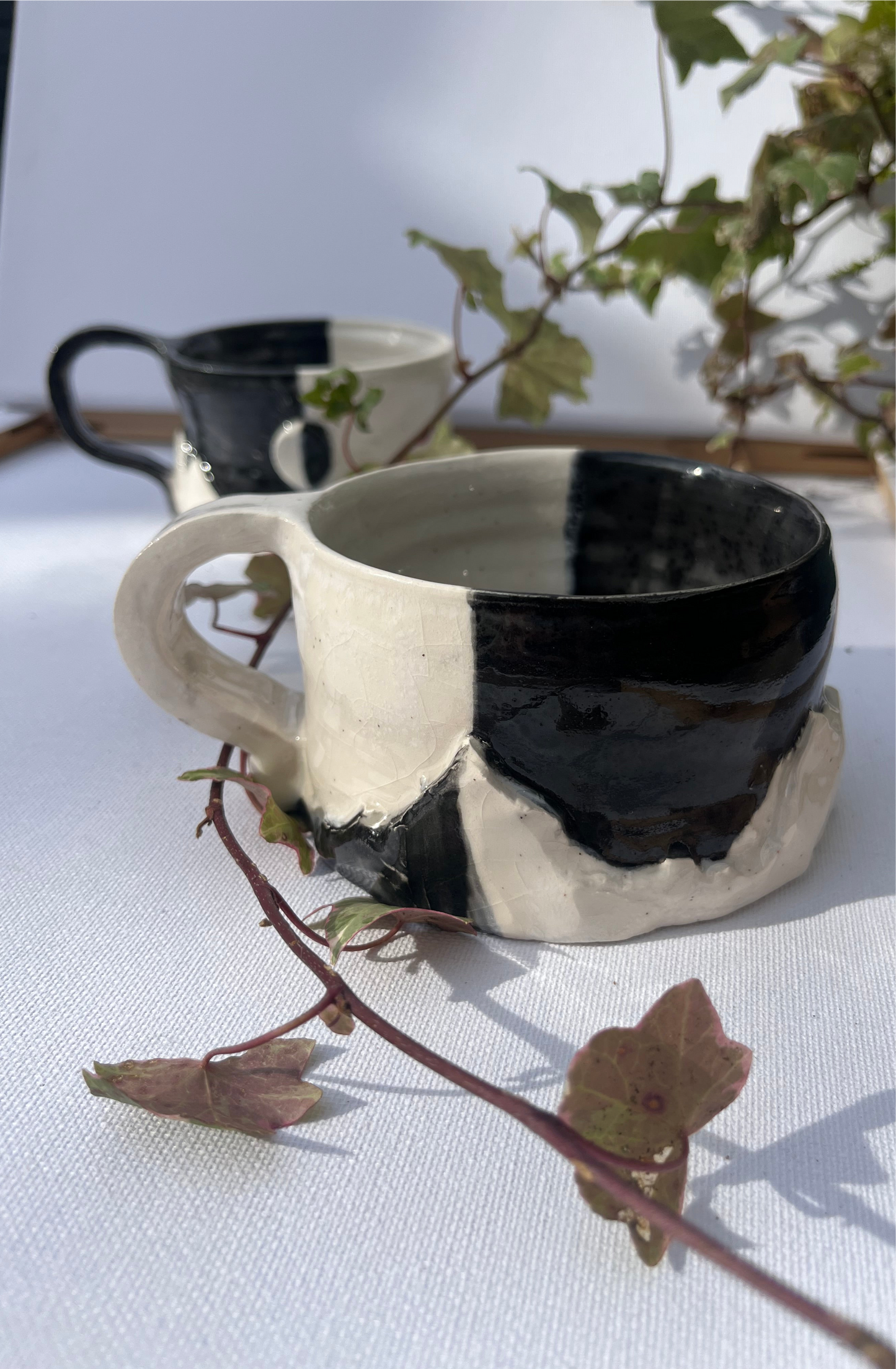 Night & Day Mountain Mug